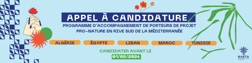 Challenge background (desktop)