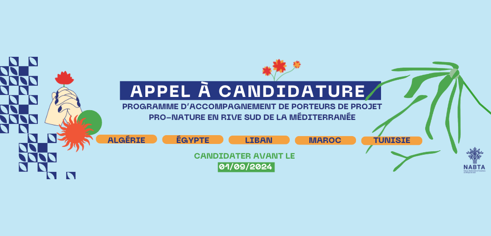 Challenge background (mobile)