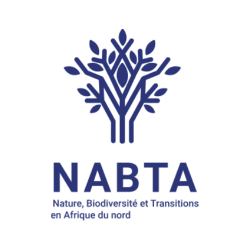 Logo BNP Paribas